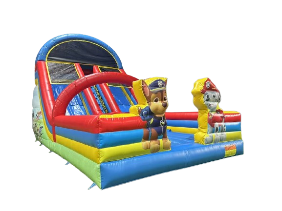 Paw Patrol Dual Lane Slide