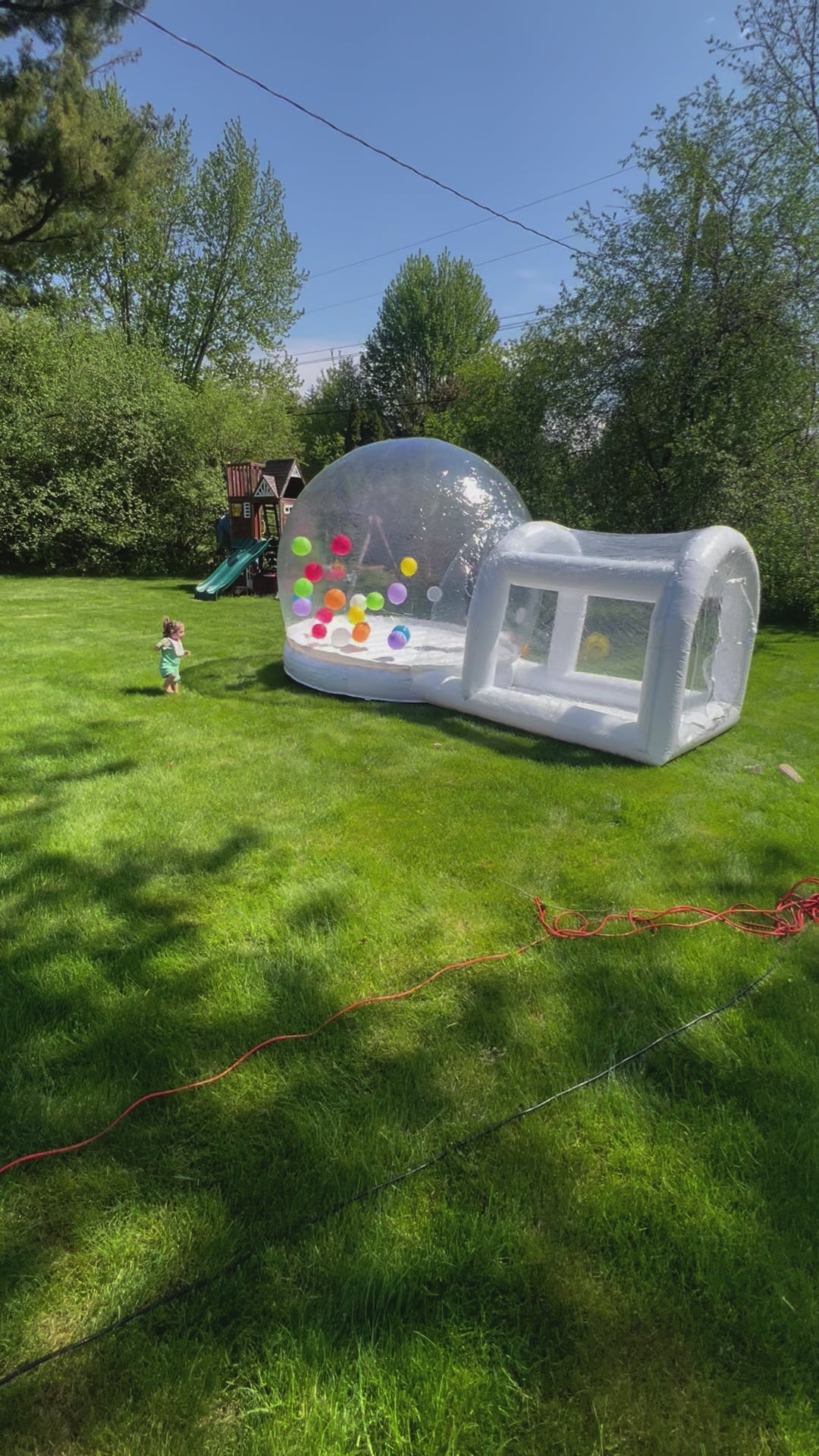The Bubble